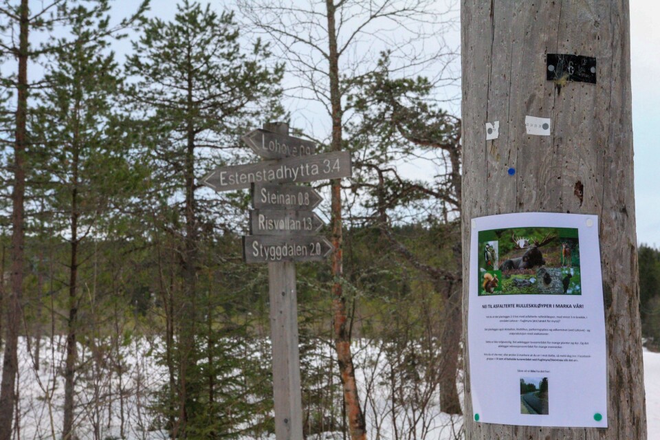 Slaget i Estenstadmarka