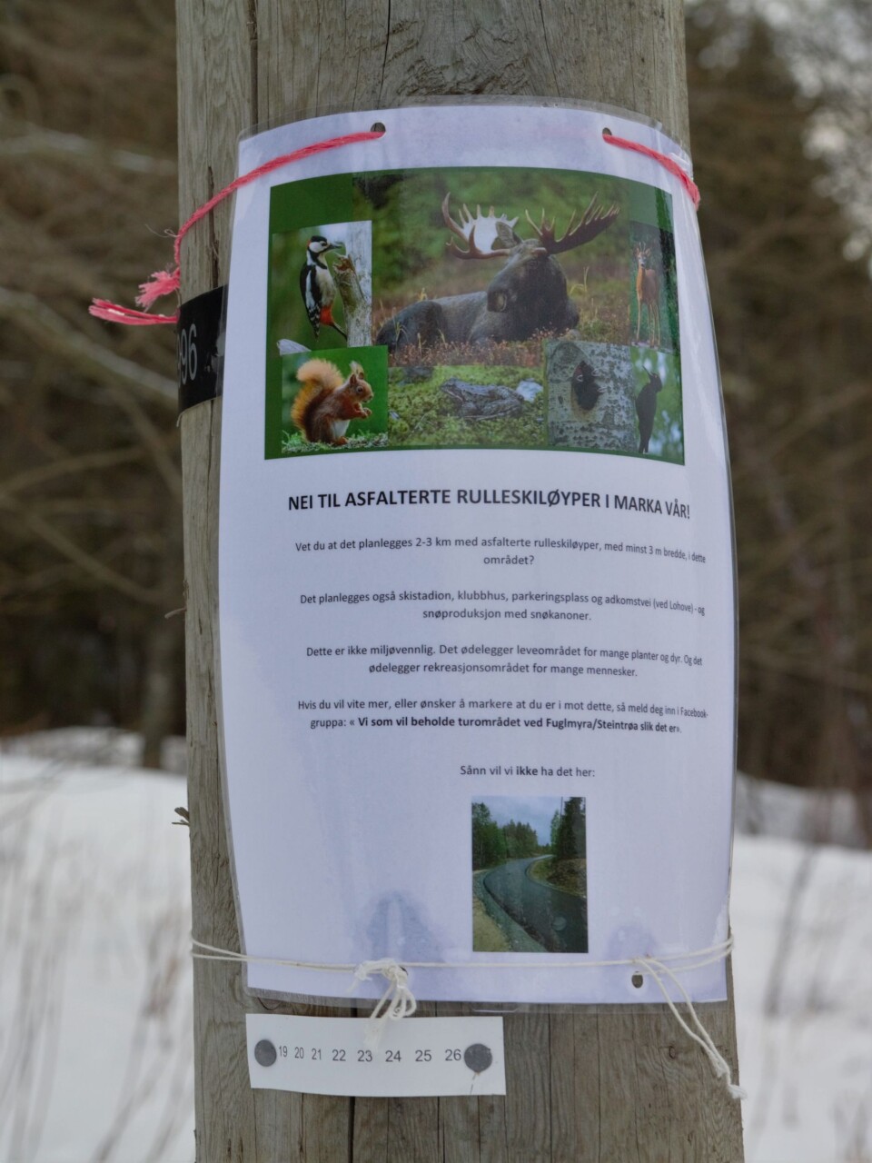 Slaget i Estenstadmarka