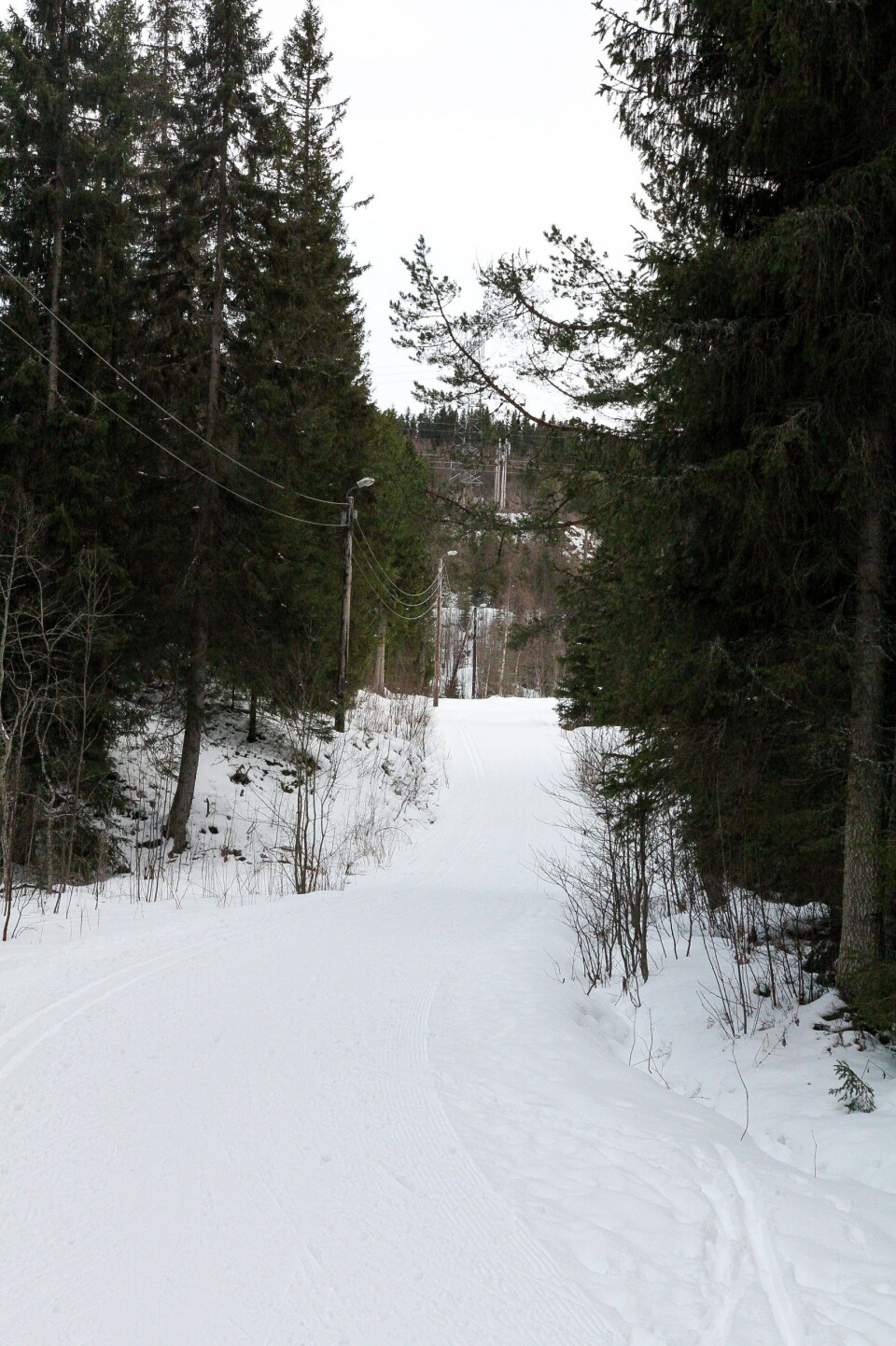 **Bekymret for naturtap:** Leder i Naturvernforbundet i Trondheim, Gaute Dahl er bekymra for at byen sluker naturen. **Bekymret for naturtap:** Leder i Naturvernforbundet i Trondheim, Gaute Dahl er bekymra for at byen sluker naturen.