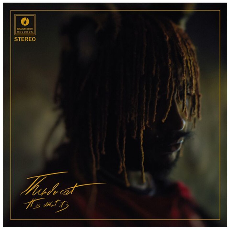 Sorgfullt albumslipp