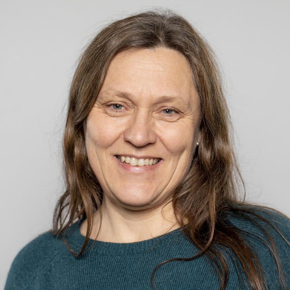 Førsteamanuensis Åshild Ergon ved NMBU jobber mye med engvekster og tare, og forklarer at lys hovedsakelig har to effekter på planters daglige drift Førsteamanuensis Åshild Ergon ved NMBU jobber mye med engvekster og tare, og forklarer at lys hovedsakelig har to effekter på planters daglige drift