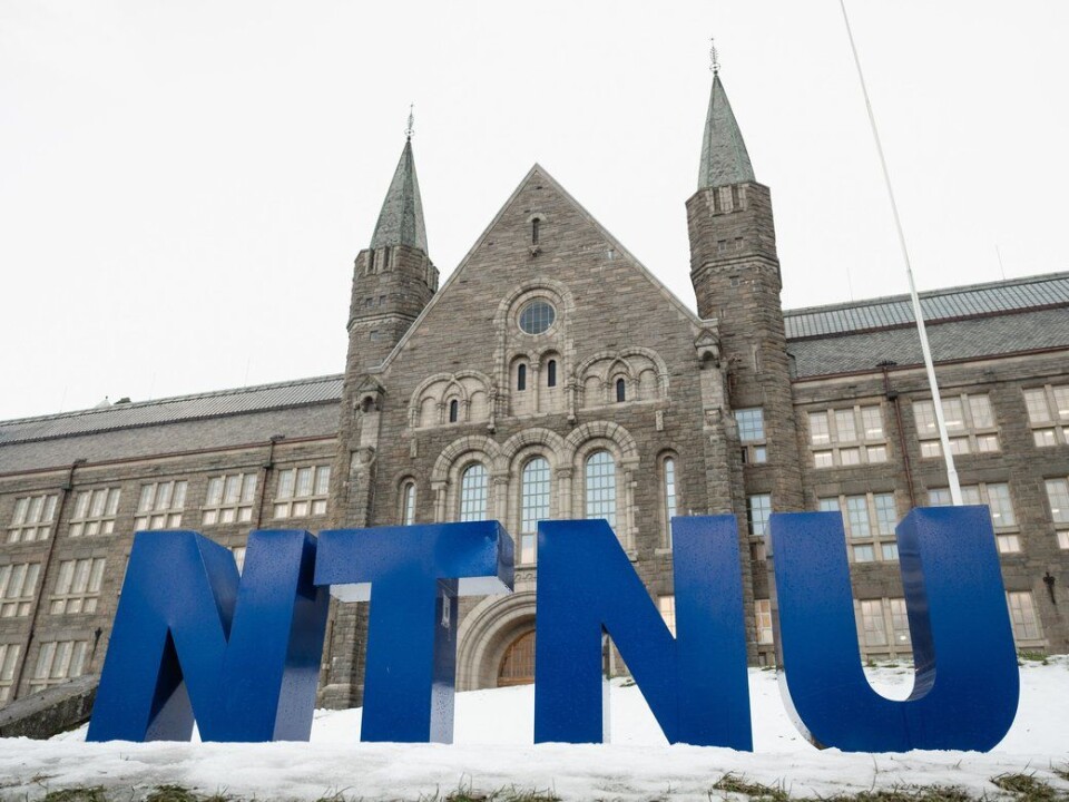 Nye medlemmer til NTNU-styret er valgt