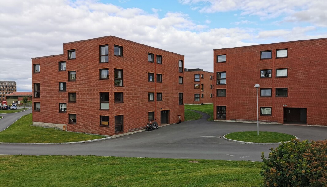 <b>PUSSES OPP:</b> Disse bygningene er blant dem som blir oppgradert i Moholt Allé, med nye bad og boenheter i kjellerne. <b>PUSSES OPP:</b> Disse bygningene er blant dem som blir oppgradert i Moholt Allé, med nye bad og boenheter i kjellerne.
