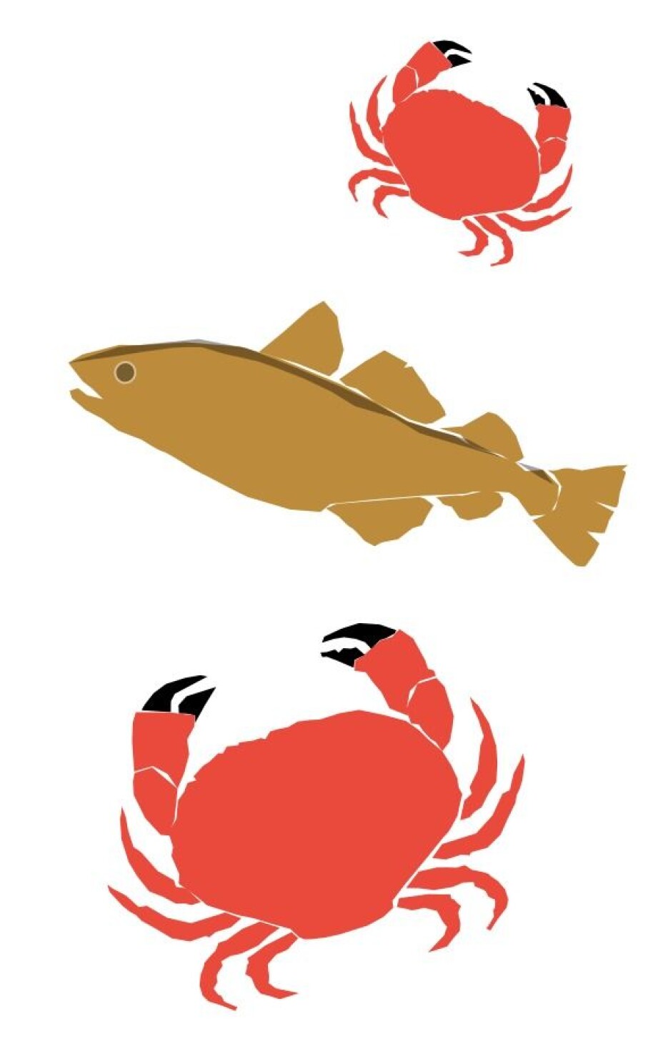 Kreftfremkallende krabber og forurenset fisk