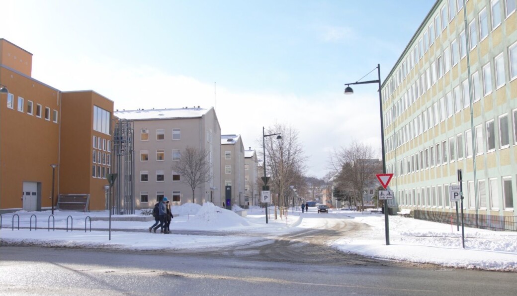 MISTET: En ung kvinne på sykkel mistet 150 kroner før hun svingte inn Sem Særlands vei på Gløshaugen. MISTET: En ung kvinne på sykkel mistet 150 kroner før hun svingte inn Sem Særlands vei på Gløshaugen.