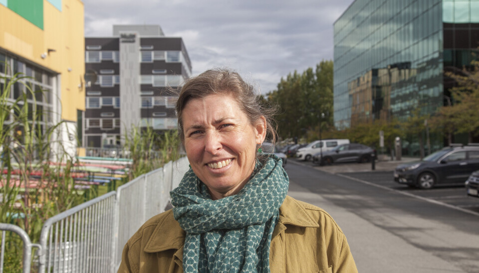 KULTURELL VARIASJON: Mette Moen Baatvik meiner at Lager11
tilbyr eit mangfald som er unikt i mat-Trondheim. KULTURELL VARIASJON: Mette Moen Baatvik meiner at Lager11
tilbyr eit mangfald som er unikt i mat-Trondheim.