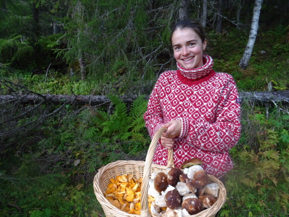 PLUKKER SOPP: Eldrun Ellisiv Tveikra begynte med å lære seg enkle matsopper. PLUKKER SOPP: Eldrun Ellisiv Tveikra begynte med å lære seg enkle matsopper.