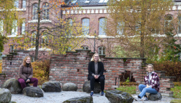 <b>Turbulent praksis</b>: studentene forteller at praksis før sommeren var turbulent. <b>Turbulent praksis</b>: studentene forteller at praksis før sommeren var turbulent.