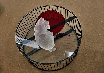 <b>Morbid: </b>Dette morbide verket vekket interessen til våre anmeldere. <b>Morbid: </b>Dette morbide verket vekket interessen til våre anmeldere.
