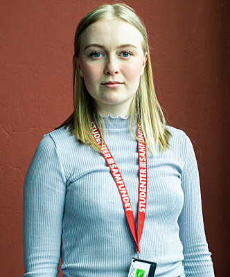 <b>Sentral stemme: </b>Salvesen mener at Krogstad var en sentral stemme på godt og vondt. <b>Sentral stemme: </b>Salvesen mener at Krogstad var en sentral stemme på godt og vondt.