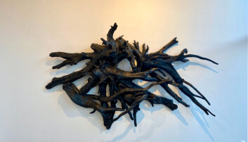 <strong>HAGEARBEID:</strong> Disse forbrente grantrerøttene stammer fra kunstnerens egen hage. <strong>HAGEARBEID:</strong> Disse forbrente grantrerøttene stammer fra kunstnerens egen hage.