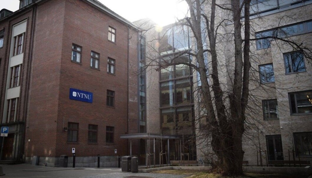 <strong>REAGERER:</strong> Studenter ved Institutt for lærerutdanning reagerer på forskjellige beskjeder fra NTNU og kommunen. <strong>REAGERER:</strong> Studenter ved Institutt for lærerutdanning reagerer på forskjellige beskjeder fra NTNU og kommunen.