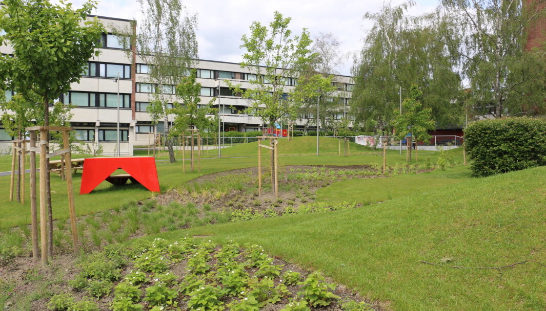 <strong>GRATIS HURTIGTEST: </strong>Studentsamskipnaden i Oslo deler ut gratis hurtigtest til alle beboerne i Norges største studentby. <strong>GRATIS HURTIGTEST: </strong>Studentsamskipnaden i Oslo deler ut gratis hurtigtest til alle beboerne i Norges største studentby.