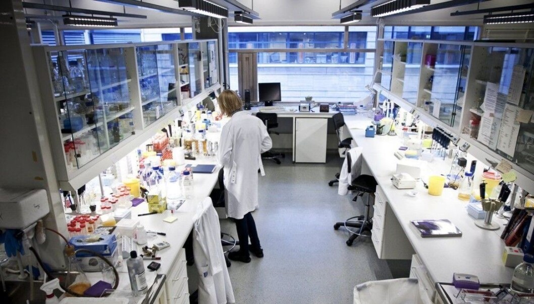 <span class=" font-weight-bold" data-lab-font_weight_desktop="font-weight-bold">VAKSINE I SOMMERFERIEN:</span> Per i dag planlegger Trondheim kommune å vaksinere byens studenter i sommermånedene juni og juli. <span class=" font-weight-bold" data-lab-font_weight_desktop="font-weight-bold">VAKSINE I SOMMERFERIEN:</span> Per i dag planlegger Trondheim kommune å vaksinere byens studenter i sommermånedene juni og juli.