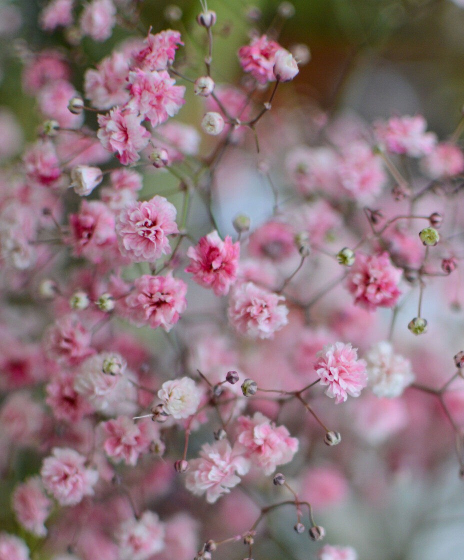 Si det med blomster