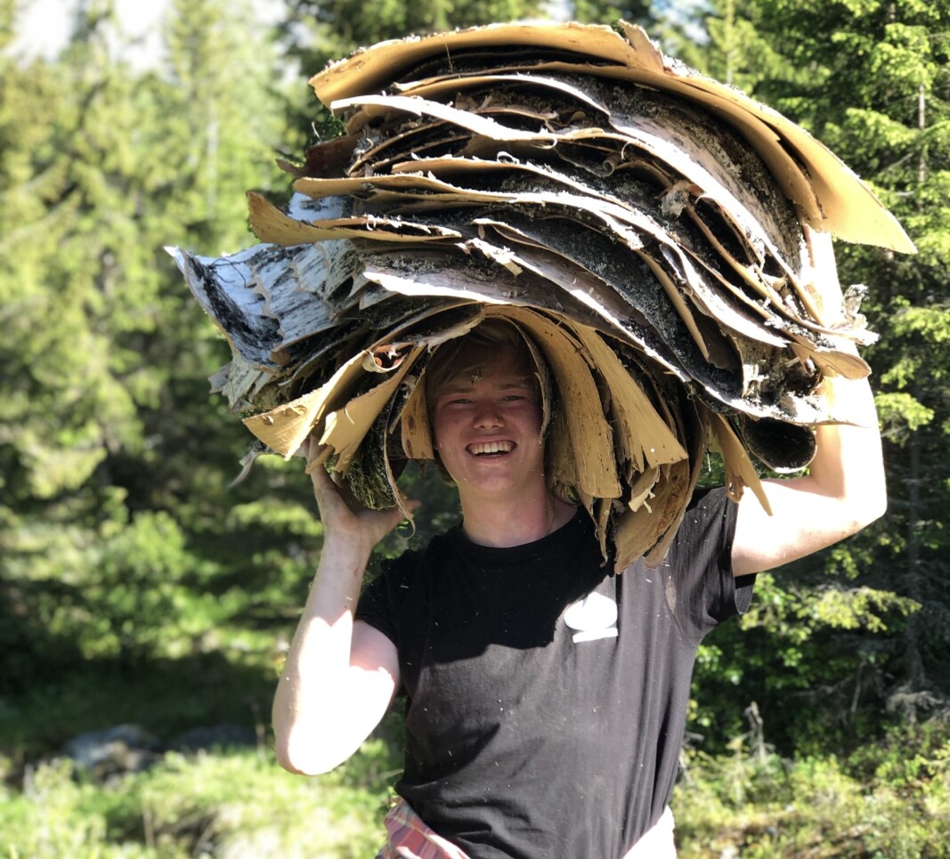 <strong>EN UVANLIG SOMMERJOBB:</strong> Endre Aasen har samlet never de tre siste årene. <strong>EN UVANLIG SOMMERJOBB:</strong> Endre Aasen har samlet never de tre siste årene.