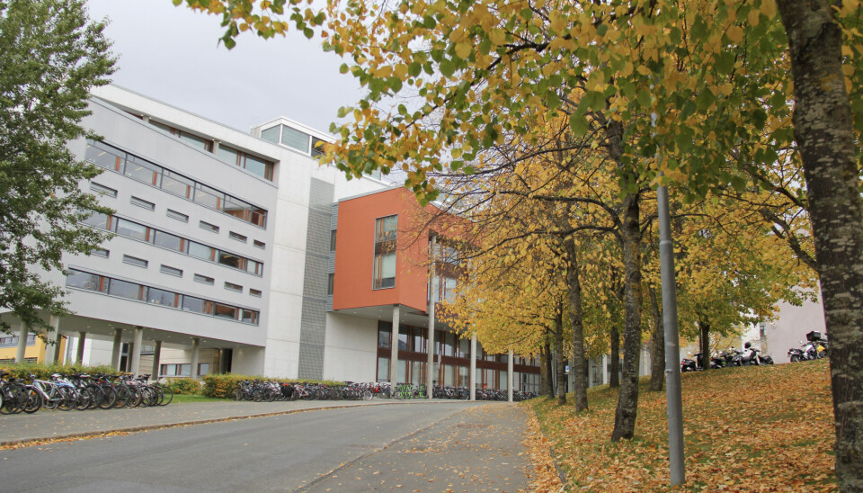Det er viktig for NTNU å opprettholde samarbeid med arbeidslivet.