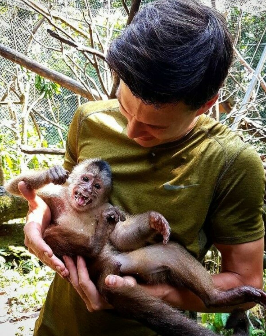 FAVORITTAPA: Arbeidet med apene i jungelen uten strøm og dekning var den reneste formen for avkobling han har opplevd.