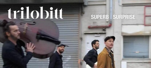 Trilobitt - Superb Suprise