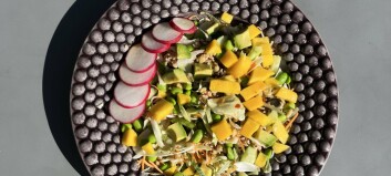 Poke bowl-inspirert salat