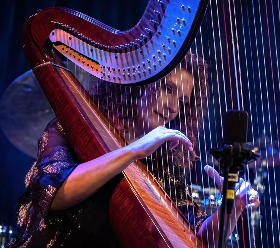Frå harpe til glamlender under Transform