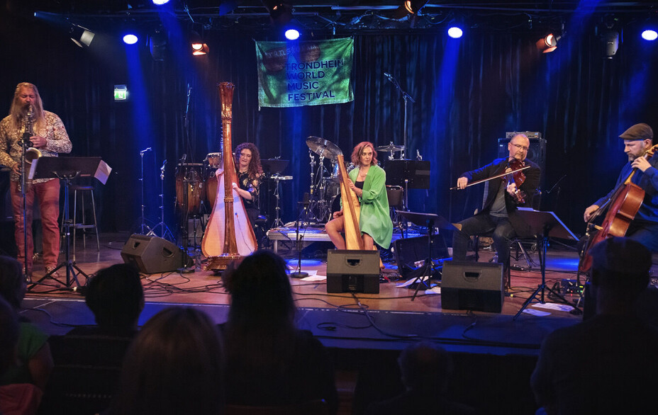 Frå harpe til glamlender under Transform