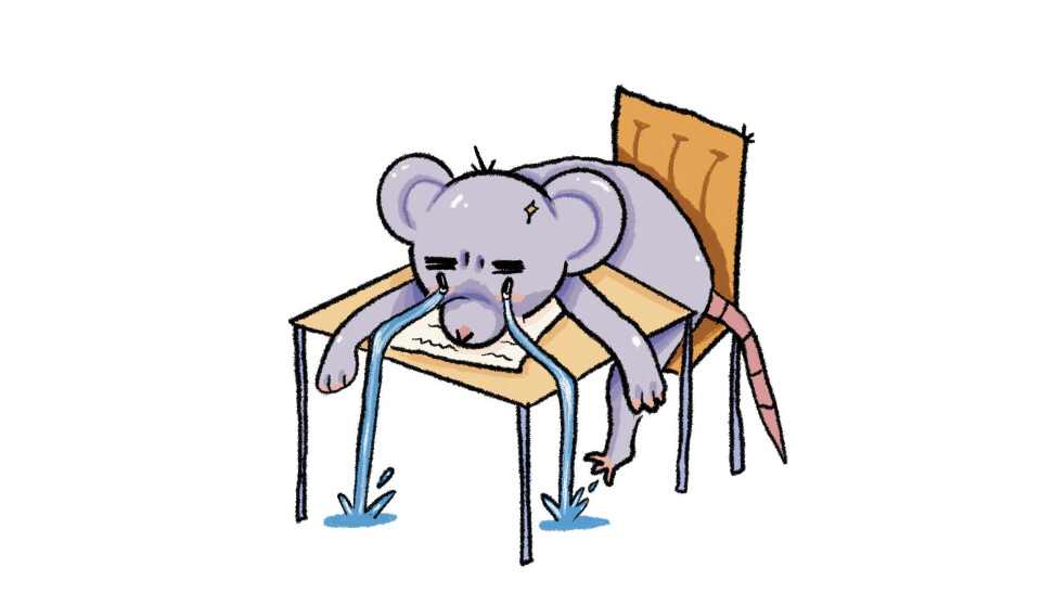 Utsatte eksamener ved NTNU: – Fikk først vite det av mine egne studenter