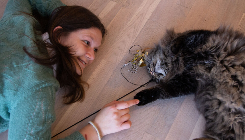 AKSEPTERT: Lucy og jeg ble bestevenner etter noen netter. AKSEPTERT: Lucy og jeg ble bestevenner etter noen netter.