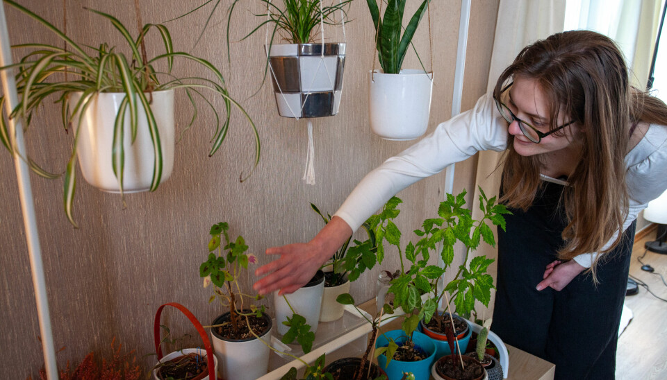 GRØNNE FINGRE: Biologistudent Ingrid Sandvin Groven viser fram plantene sine.