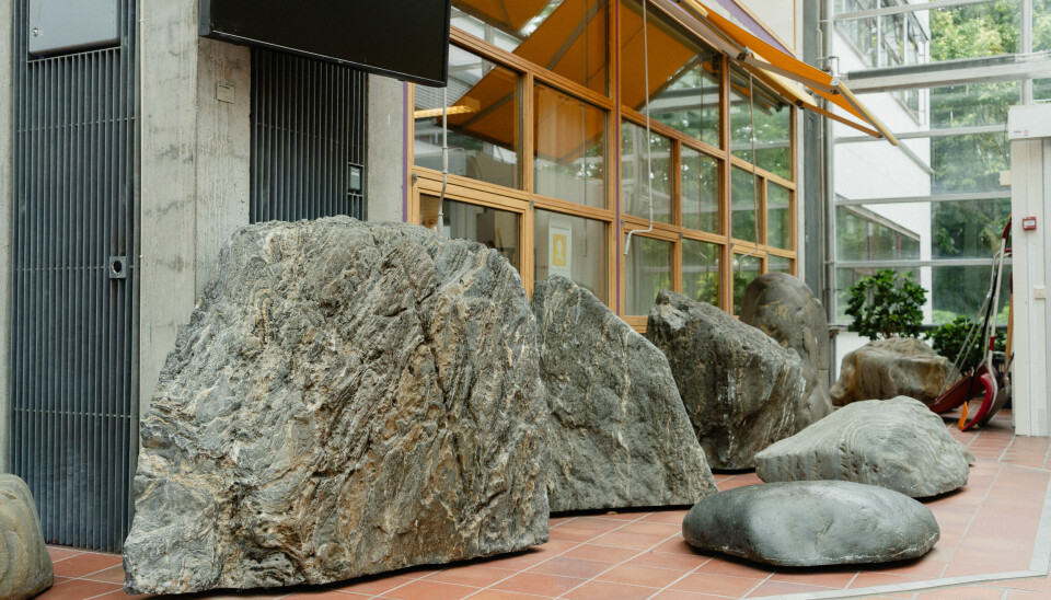 STEINKULT PÅ DRAGVOLL: Steinene dekorerer flere steder på campus