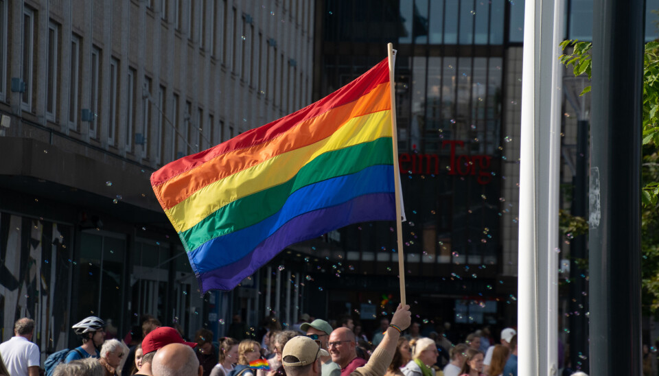 VIKTIG: Viktige stillinger i styret til Trondheim pride har ikke blitt besatt, og årets festival er i fare for å måtte avlyses. Trondheim pride peker på manglende midler fra kommunen, og etterlyser studenter til å bidra til å arrangere årets festival.