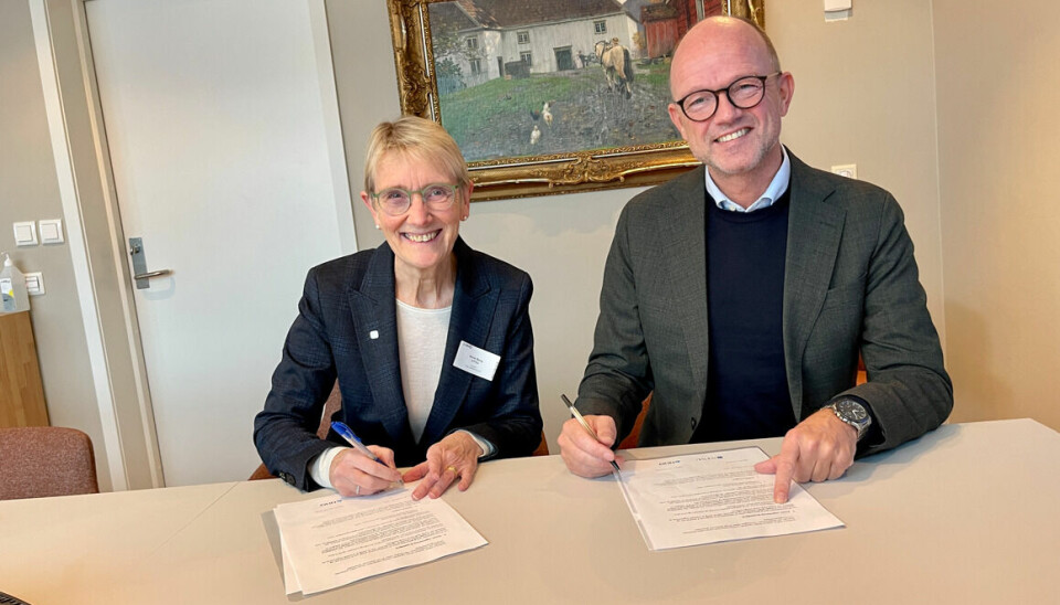 SIGNERER AVTALE: Rektor ved NTNU Anne Borg og direktør i NHO Ole Erik Almlid inngår nytt samarbeid.