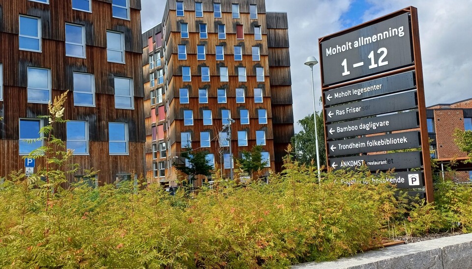 TRENGER FLERE: Flere studentbyer kunne, ifølge leder av NSO Kaja Ingdal Hovednak, ha hjulpet på de høye leiekostnadene. Moholt studentby, Moholt allmenning