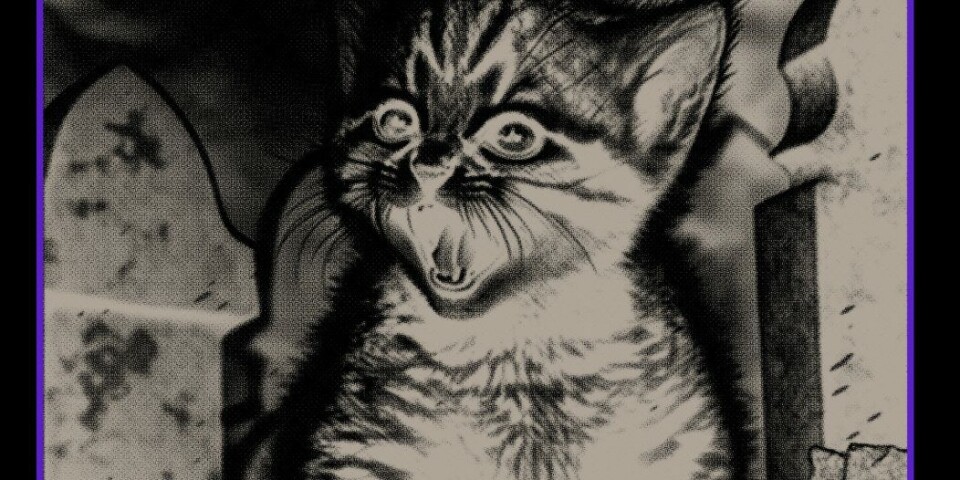 Blazed In The Northern Sky er en plate som krever at du liker ordspill.