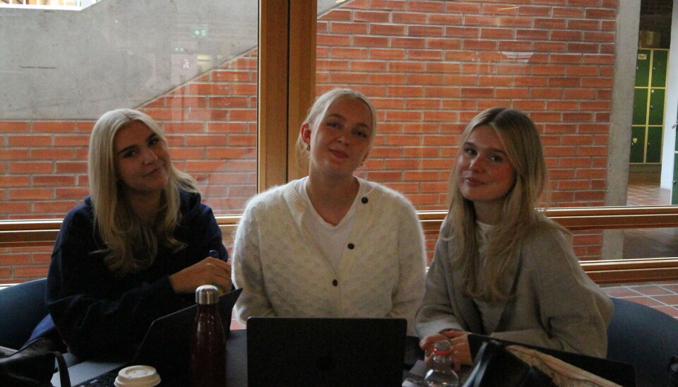 Emma Eide, Jenny Carlson og Thea Larssen mener Sit kunne vært bedre på å markedsføre seg gjennom sosiale medier.