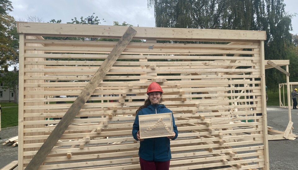 GØY: Arkitektstudent Kristina Fürst Standal synes det er gøy å lære ved å gjøre.