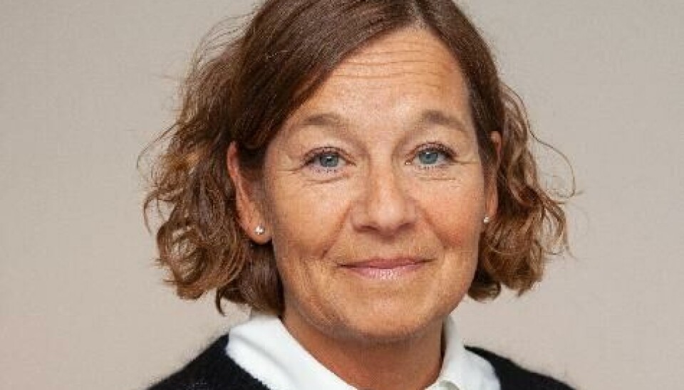 ALVORLIG: Seksjonssjef for lønn og HR-tjenester Ingrid Iren Eide.