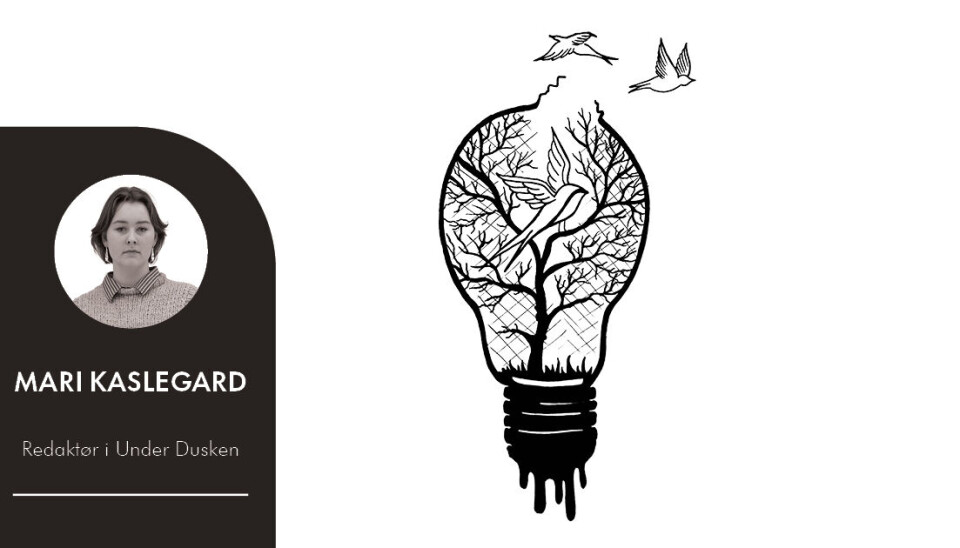 Siste skanse
– samarbeidet må stanse