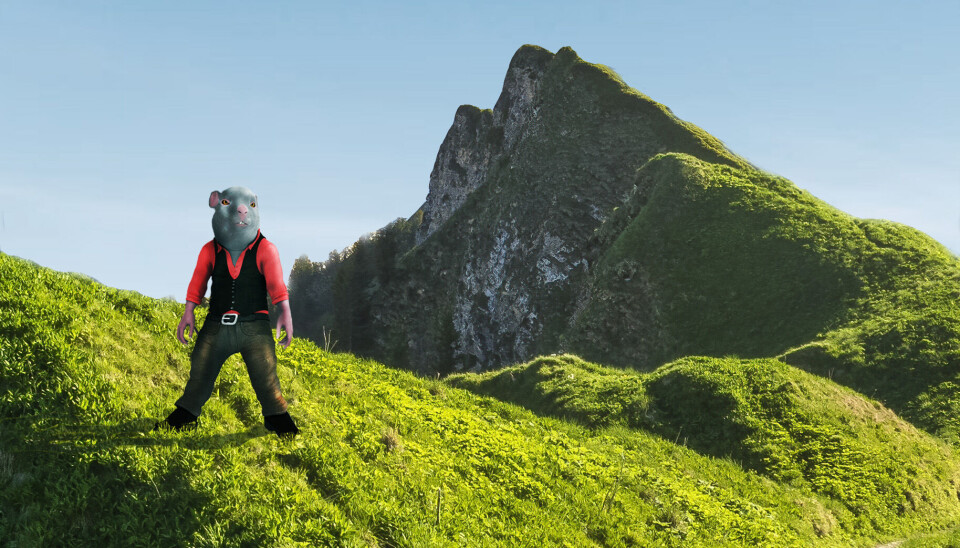 TACOBITCH – RATMODE