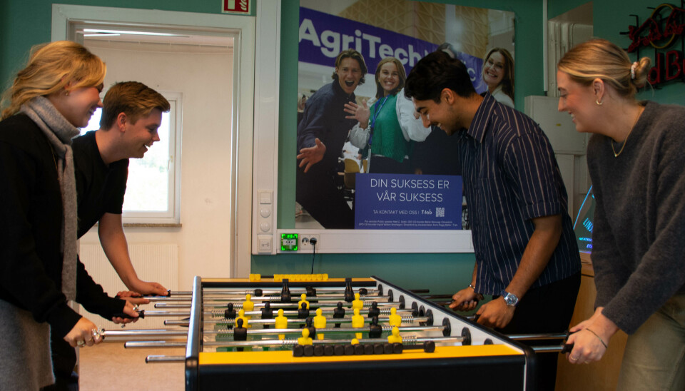 SOM EN FAMILIE: De fire studentene synes de har et utrolig tett miljø på
studiet.
