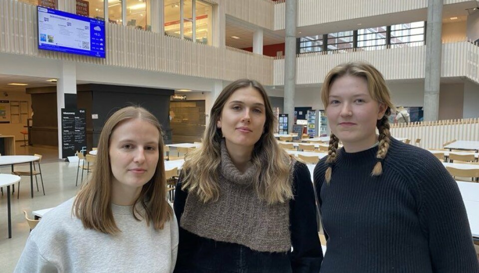 PLAKATAKSJON: Amalie Opsanger (t.v.), Anita Helen Dahlberg og Frida Sollihagen Nilsen fra Framtiden i våre hender sitt studentlag i Trondheim vil informere om overskuddsproblemet til Fretex.