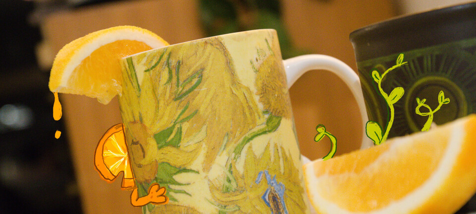 Kakao med smak av appelsin