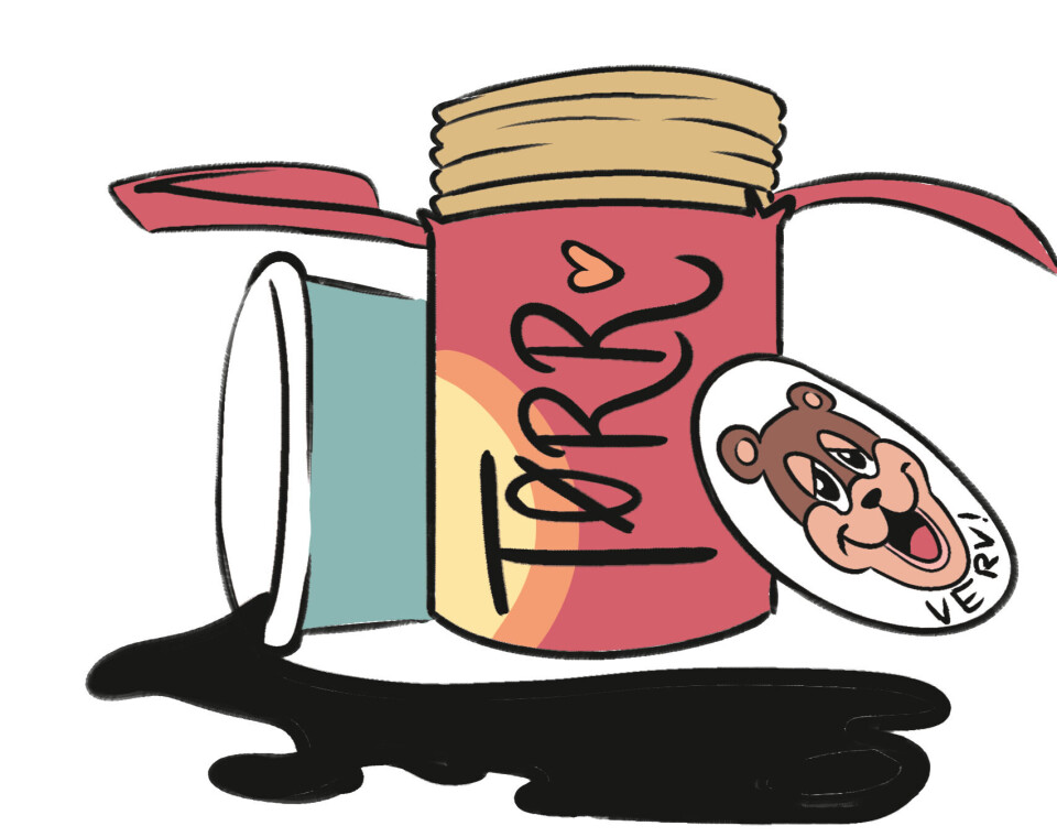 Julegavetips for samfunnsvitere