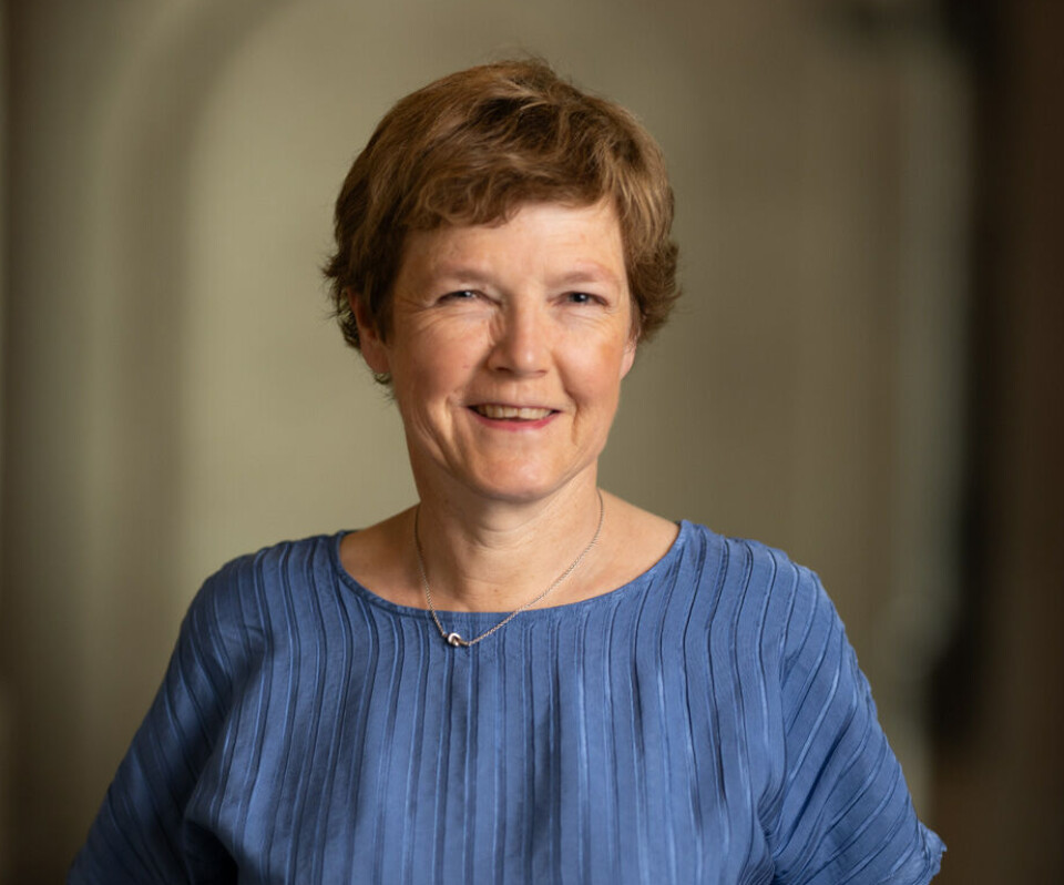 Å VARSLE ELLER IKKE VARSLE: Prorektor Marit Reitan ønsker å gjøre Si fra mer tilgjengelig.