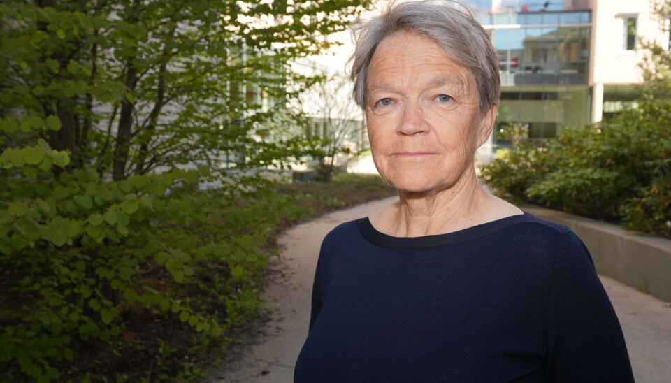 GODE SØKERTALL: Dekan ved fakultet for medisin og helsevitenskap Siri Forsmo forteller om gode søkertall, og er ikke bekymret for negative konsekvenser.