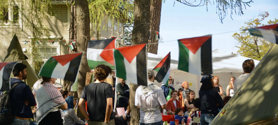 NTNU-student pågrepet av israelske myndigheter
