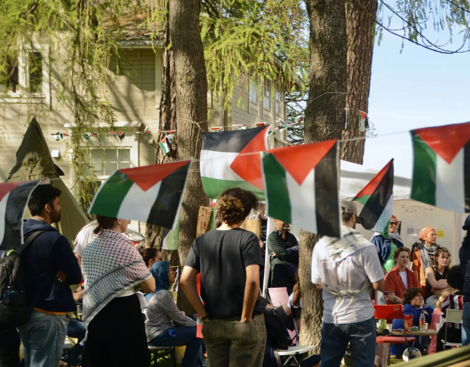 NTNU-student pågrepet av israelske myndigheter