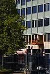 Moderne bygning bak byggegjerde og et stort tre i sollys.